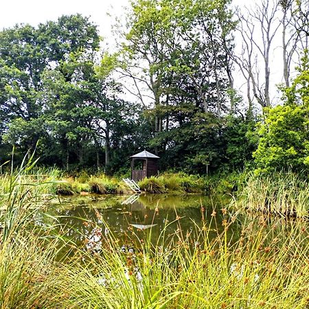 Charming Tranquil Shepherds Hut With Lakeside Balcony 'Roach' Uckfield Extérieur photo