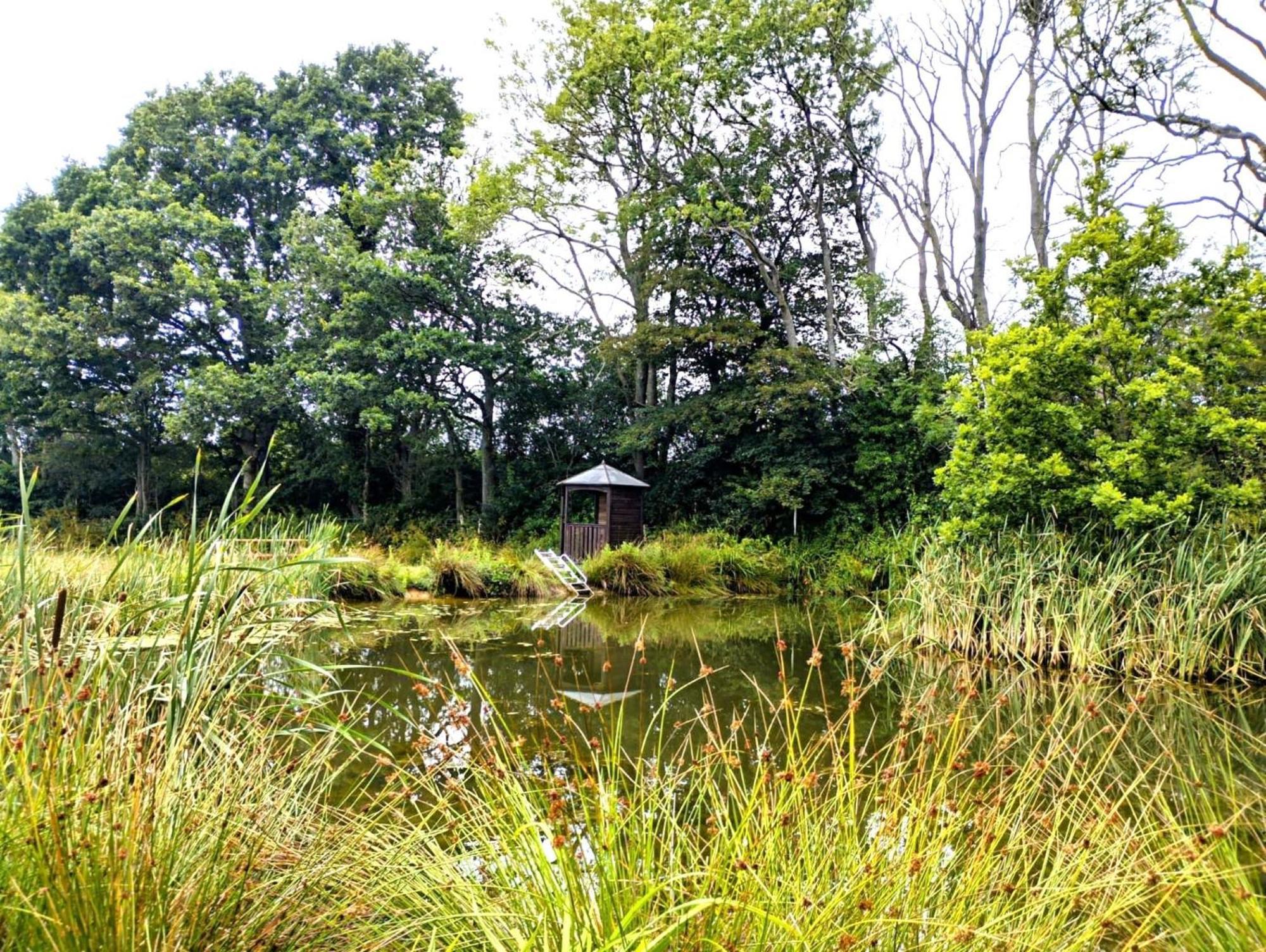 Charming Tranquil Shepherds Hut With Lakeside Balcony 'Roach' Uckfield Extérieur photo
