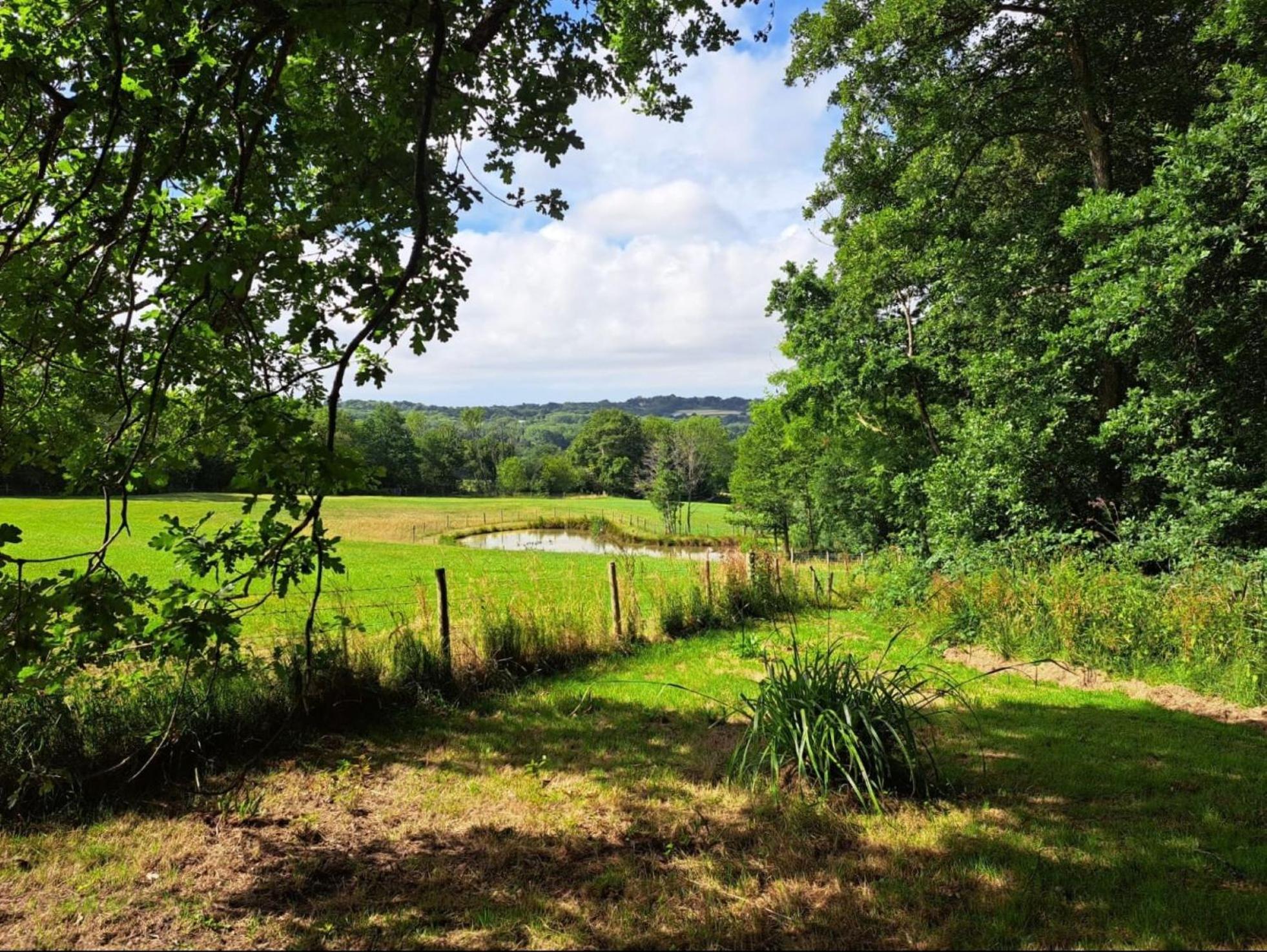 Charming Tranquil Shepherds Hut With Lakeside Balcony 'Roach' Uckfield Extérieur photo